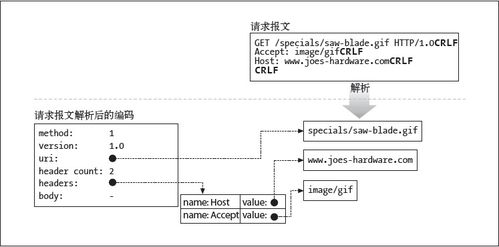 无Web文件系统环境下的服务器运维挑战与解决方案