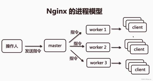 nginx网站服务详解 编译安装及系统服务添加