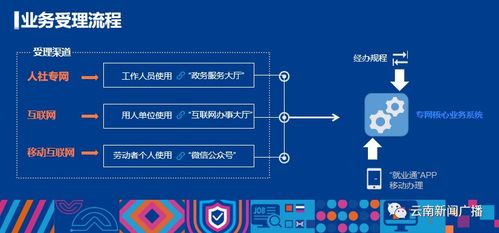 手机一触即达，就业服务触手可及——“就业彩云南”公共就业服务信息系统正式上线运行