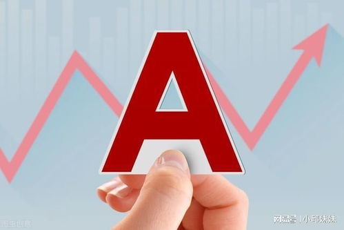 中国股市 6只最具翻倍潜力的价值低洼股（信息系统运行维护服务领域）